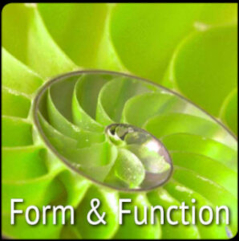 FormFunction-298x300